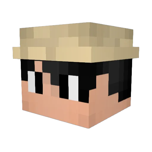 Arthur003 Minecraft avatar head, 3D render