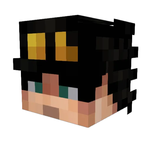 ArthurHB8 Minecraft avatar head, 3D render