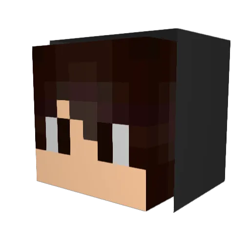 ArthurNPereira Minecraft avatar head, 3D render