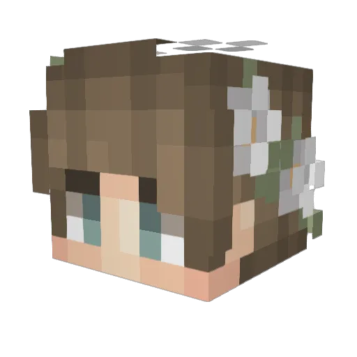 Arthur_die_Bombe Minecraft avatar head, 3D render