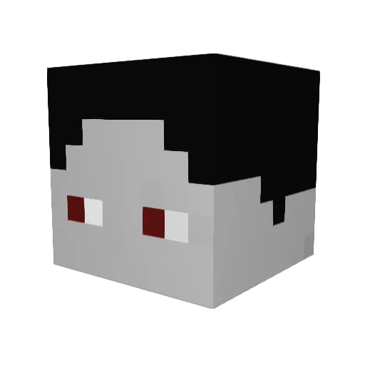 Arti_14 Minecraft avatar head, 3D render