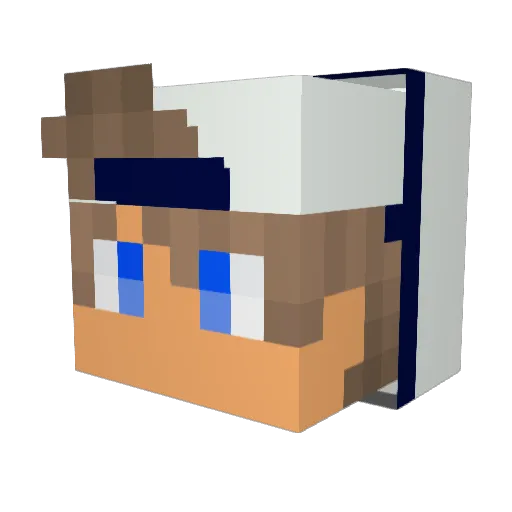 Artic_turtle2 Minecraft avatar head, 3D render