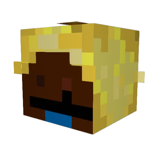 Artiparty2512 Minecraft avatar head, 3D render