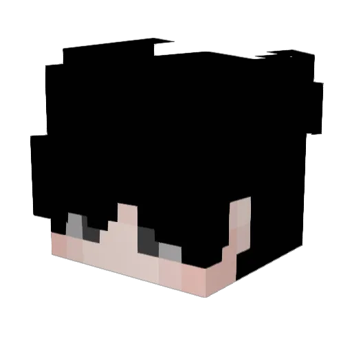 ArtisitcParasite Minecraft avatar head, 3D render