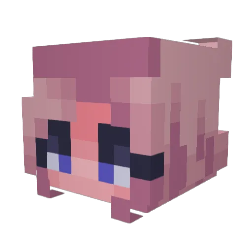ArtistAnxiety Minecraft avatar head, 3D render