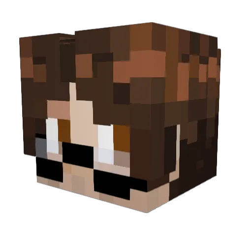 ArtistOfBread Minecraft avatar head, 3D render