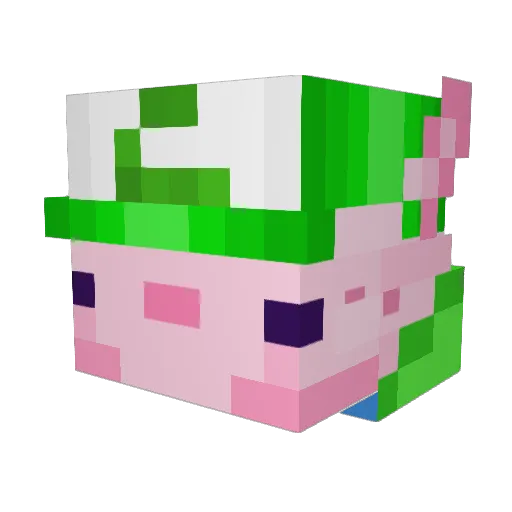 ArtisticAxolotl Minecraft avatar head, 3D render
