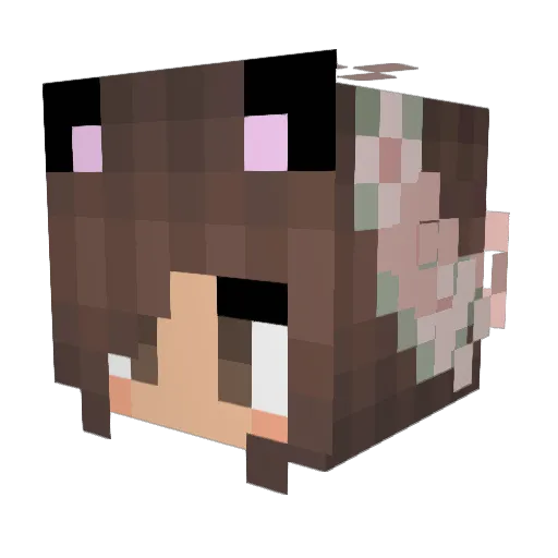 ArtisticPug Minecraft avatar head, 3D render