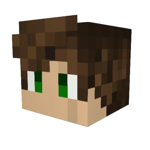 Artonks_456 Minecraft avatar head, 3D render