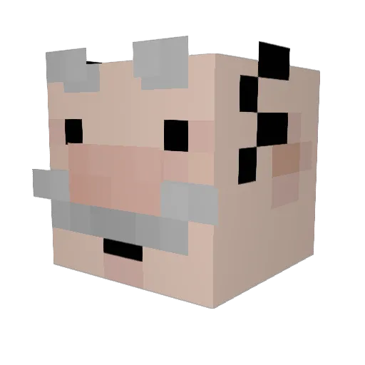 Artritis Minecraft avatar head, 3D render