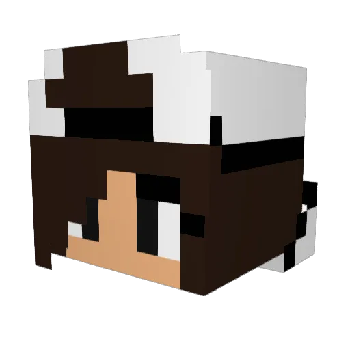 Arttermis Minecraft avatar head, 3D render