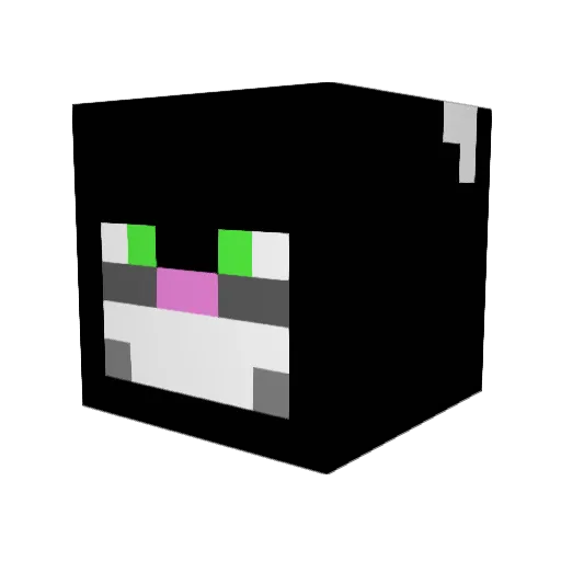 ArtyDog5000 Minecraft avatar head, 3D render