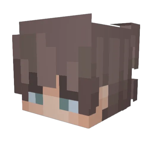 ArtyDragon2123 Minecraft avatar head, 3D render