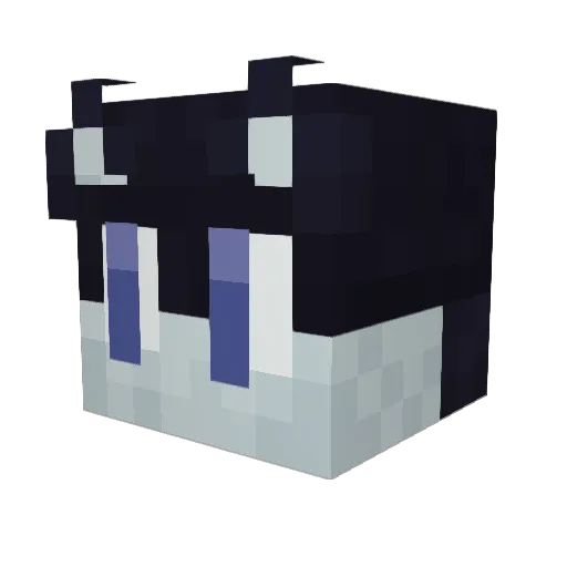 ArtyDuckling560 Minecraft avatar head, 3D render