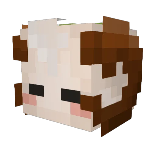 ArtySaki Minecraft avatar head, 3D render