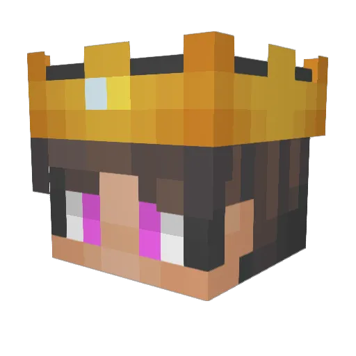 Artylius16 Minecraft avatar head, 3D render