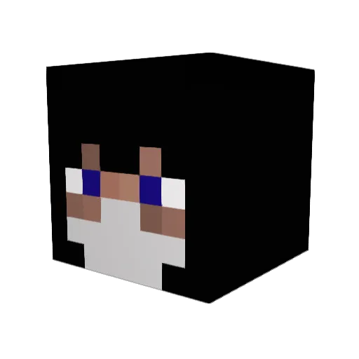ArtyomCat05 Minecraft avatar head, 3D render