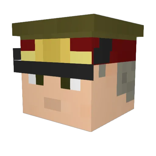AruaPi Minecraft avatar head, 3D render