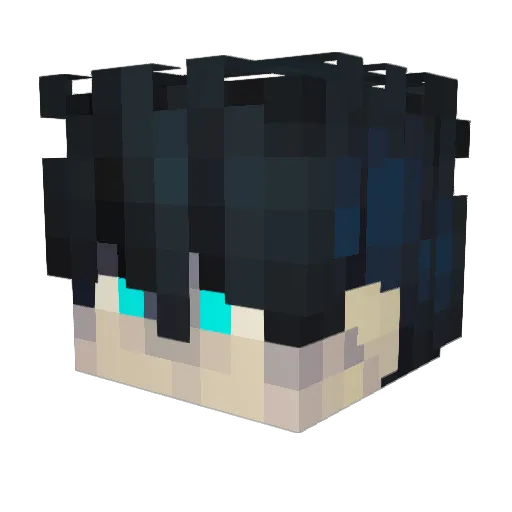 Aruanan05 Minecraft avatar head, 3D render