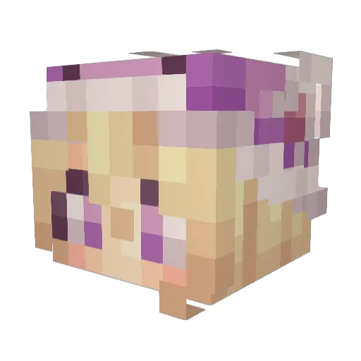 Aruiback Minecraft avatar head, 3D render