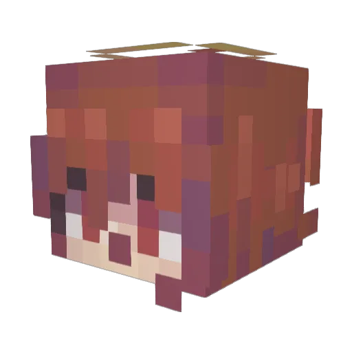 Aruka_6 Minecraft avatar head, 3D render