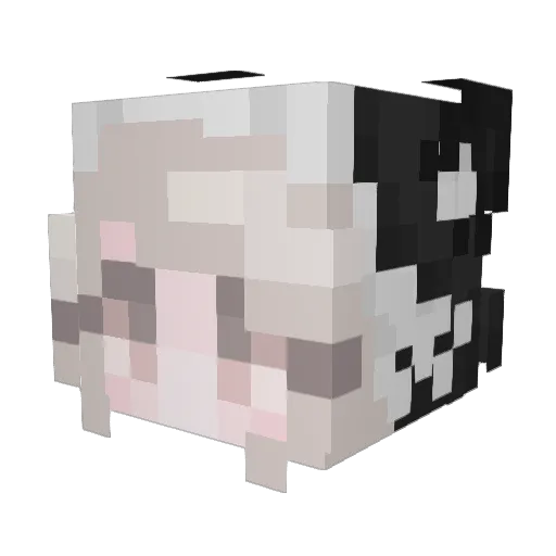 Aruku0903 Minecraft avatar head, 3D render