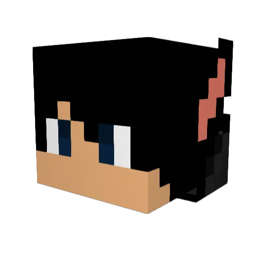 Arunan55 Minecraft avatar head, 3D render