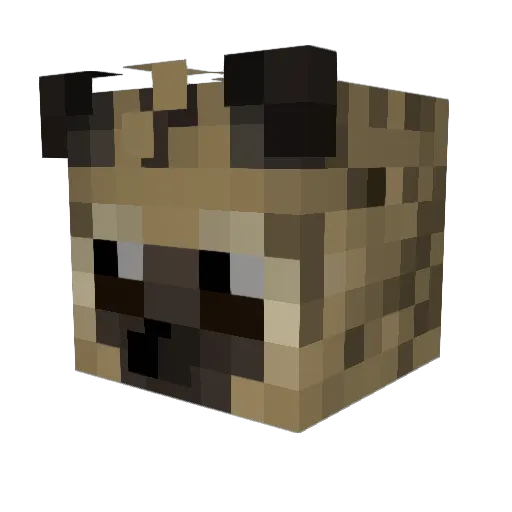 Aruspexx Minecraft avatar head, 3D render