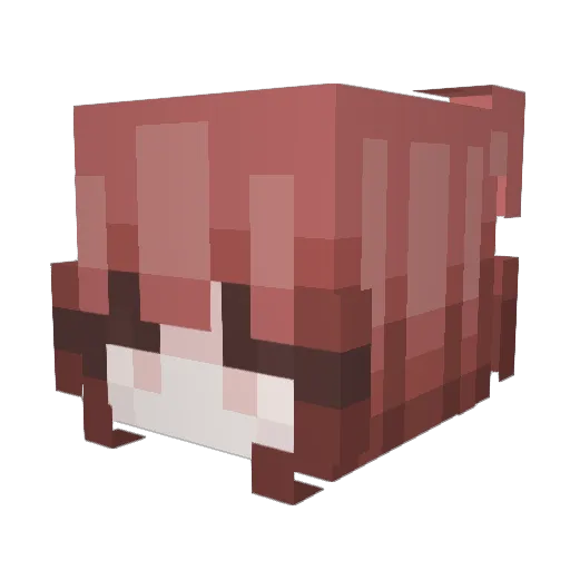 Aruuuux Minecraft avatar head, 3D render