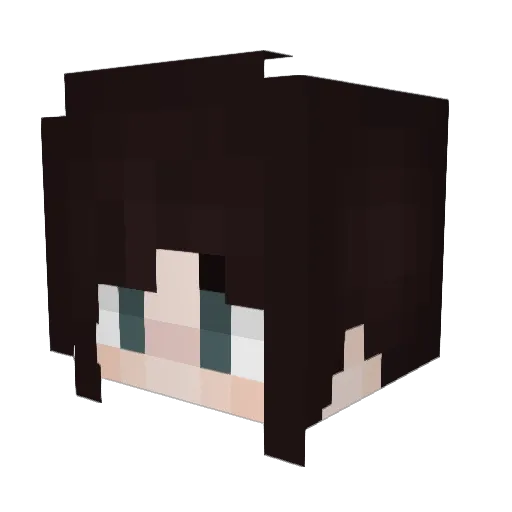Arvilliss Minecraft avatar head, 3D render