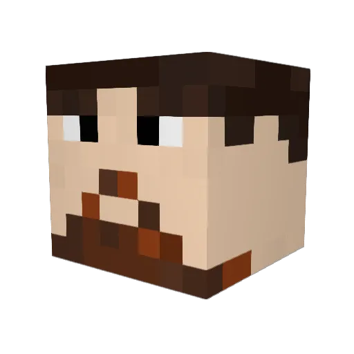 Arwen40 Minecraft avatar head, 3D render