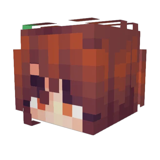 Arwen86 Minecraft avatar head, 3D render