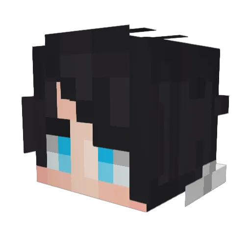 ArxSnow Minecraft avatar head, 3D render