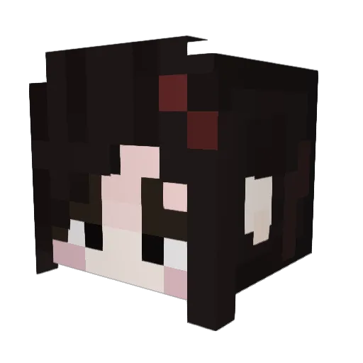 Arxa9312 Minecraft avatar head, 3D render