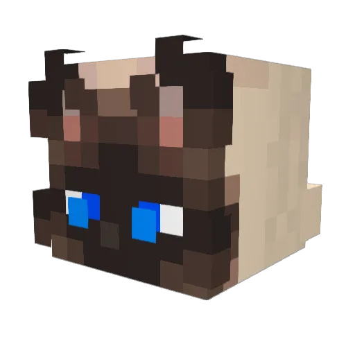 Arxctics Minecraft avatar head, 3D render