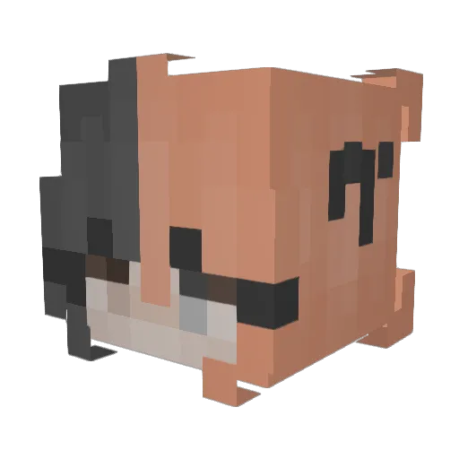 Arxxns Minecraft avatar head, 3D render
