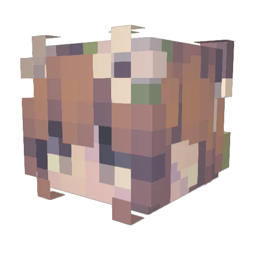Ary_3 Minecraft avatar head, 3D render