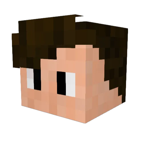 Arya00 Minecraft avatar head, 3D render