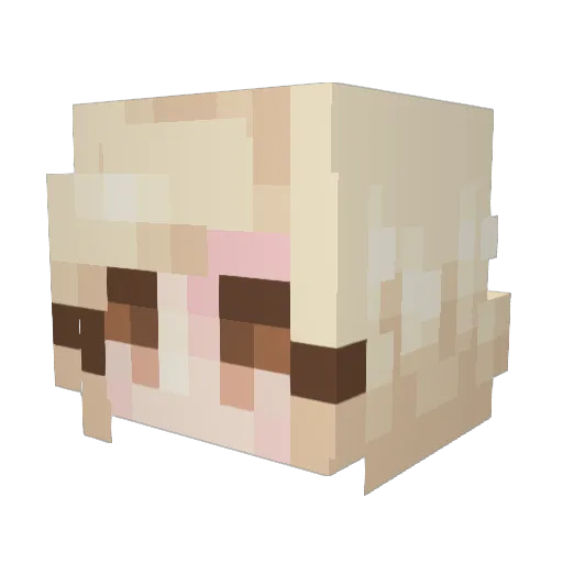 Arya2737 Minecraft avatar head, 3D render