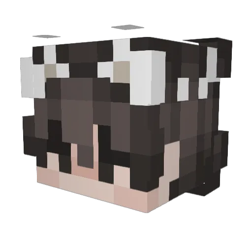 AryaILY Minecraft avatar head, 3D render