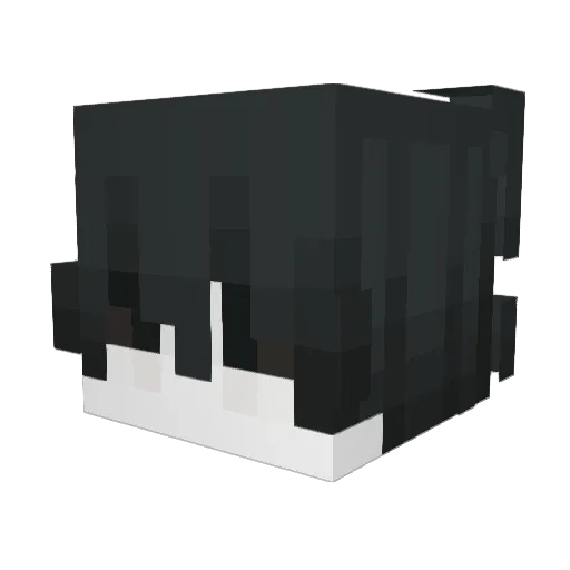 AryaQT Minecraft avatar head, 3D render