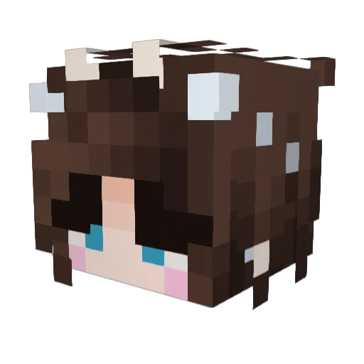 AryaStark1 Minecraft avatar head, 3D render