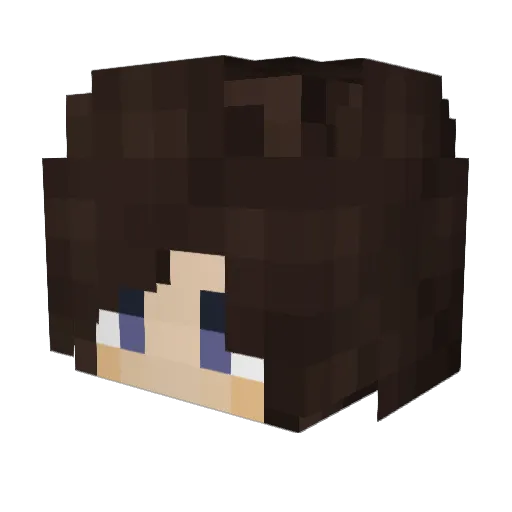 Arya_Mehr Minecraft avatar head, 3D render
