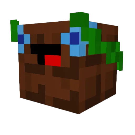 Aryaan_ Minecraft avatar head, 3D render