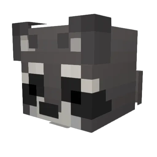 Aryan_Str Minecraft avatar head, 3D render