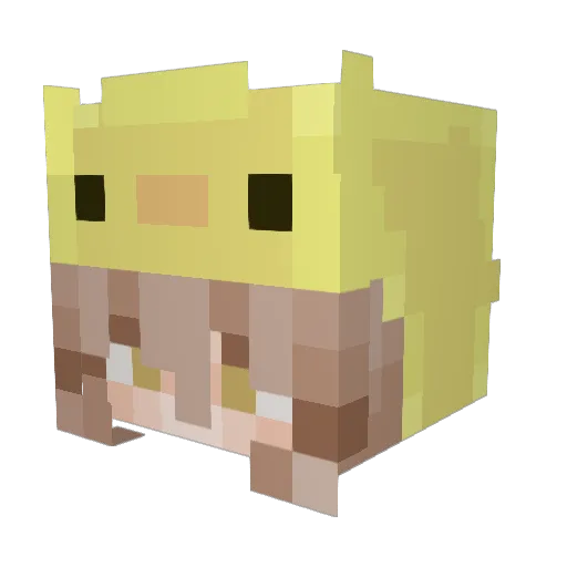 Aryixaa Minecraft avatar head, 3D render