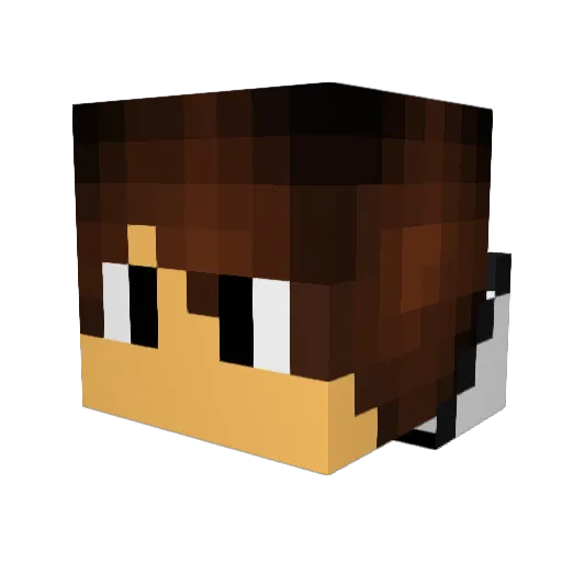 Aryjr1231 Minecraft avatar head, 3D render