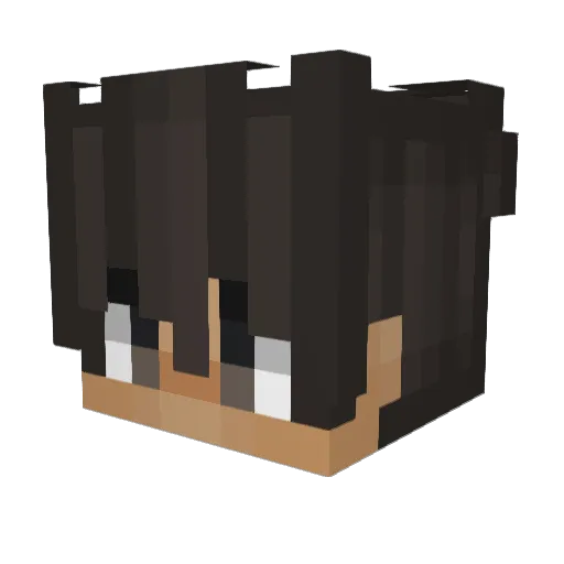 Aryu7777 Minecraft avatar head, 3D render
