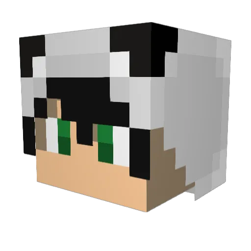 Arzane Minecraft avatar head, 3D render