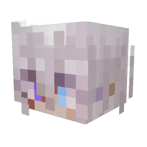 As1er Minecraft avatar head, 3D render